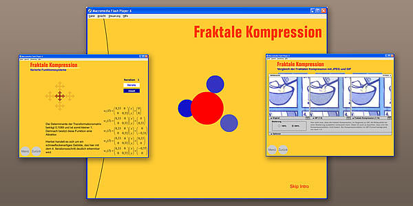 Fraktale Kompression: Interaktive Lernanwendung